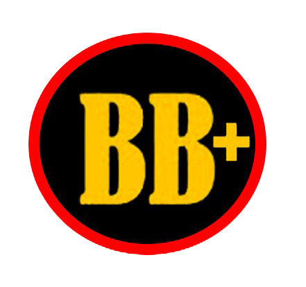 twin logo